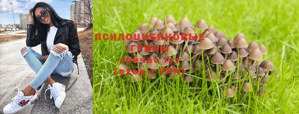 прущие крисы Покровск