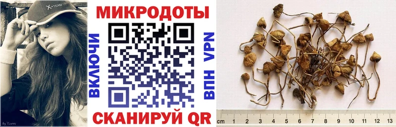 Псилоцибиновые грибы мухоморы  Купить  Облучье 